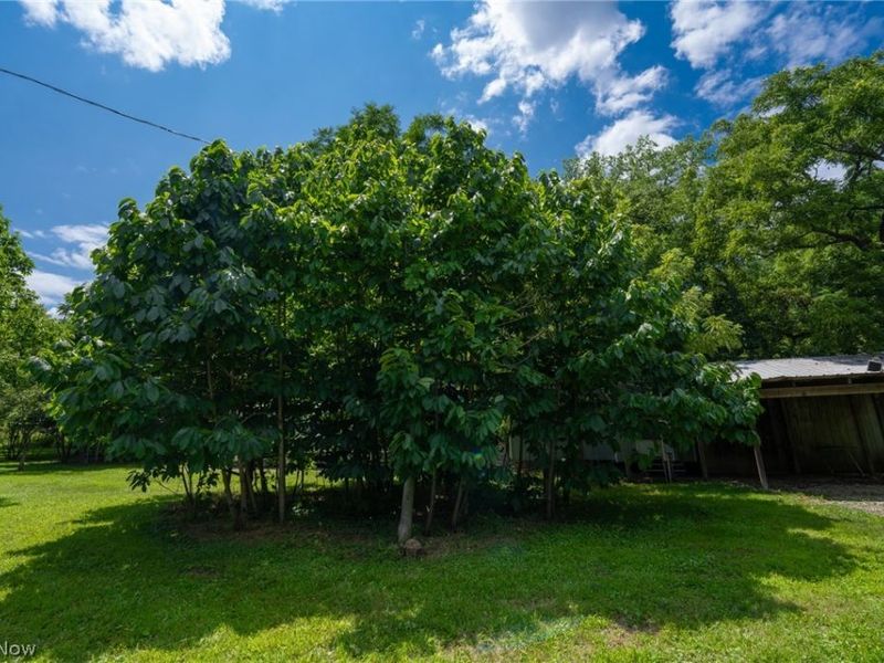 3226 State Route 3, Loudonville, OH 44842 Photo 8