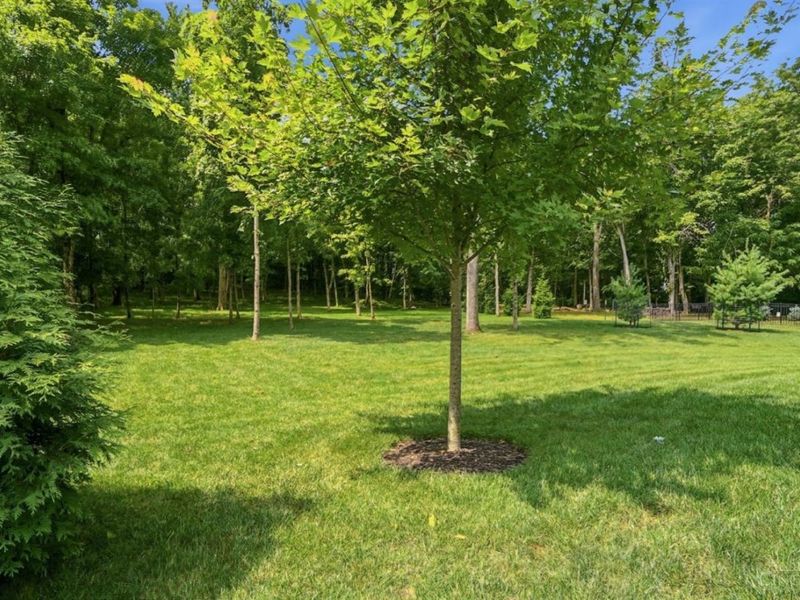 5772 Rivers Fork Drive, Morrow, OH 45152 Photo 45