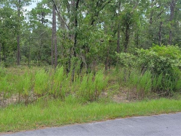 0 NW HIGHVIEW AVENUE , DUNNELLON, FL 34431