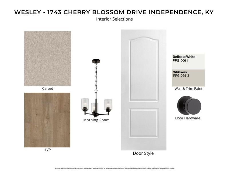 1743 Cherry Blossom Drive, Independence, KY 41051 Photo 3