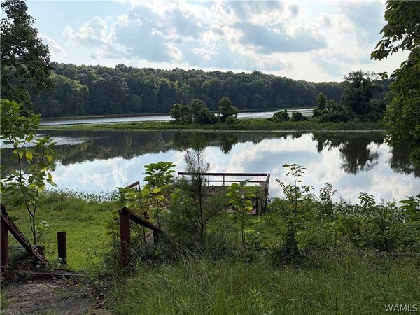 16798 NORTH RIVER Shores, Northport, AL 35475