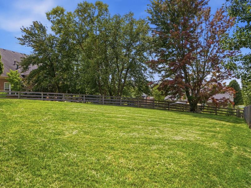 12994 Pavilion Court, Union, KY 41091 Photo 47