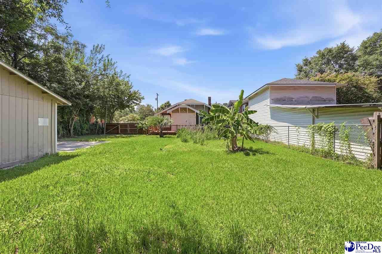 805 W Palmetto Street Photo 31