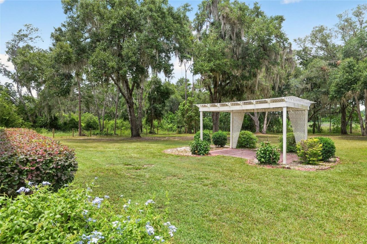 12499 E Highway 25, Ocklawaha, FL 32179 Photo