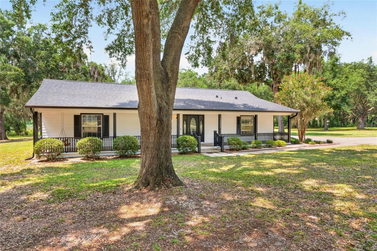 12499 E Highway 25, Ocklawaha, FL 32179 Photo