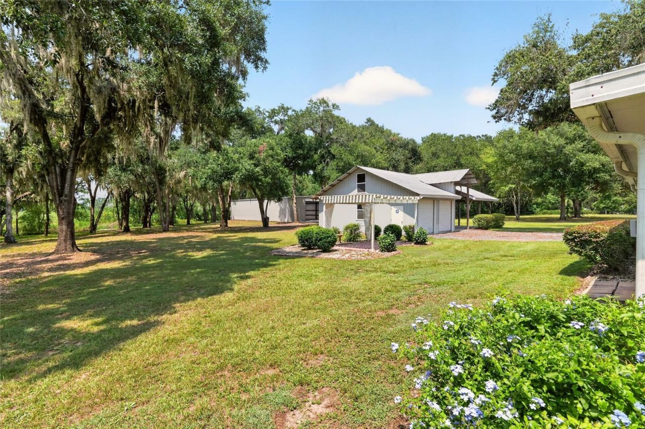 12499 E Highway 25, Ocklawaha, FL 32179 Photo