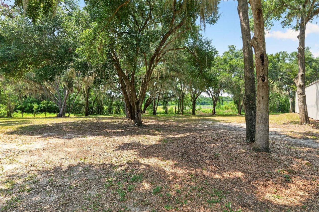 12499 E Highway 25, Ocklawaha, FL 32179 Photo