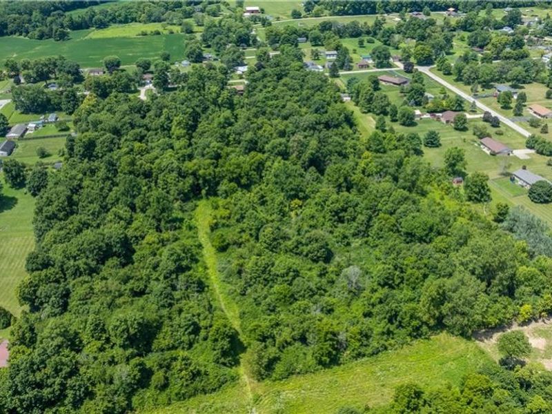 968 Dafler Road, West Alexandria, OH 45381 Photo 31