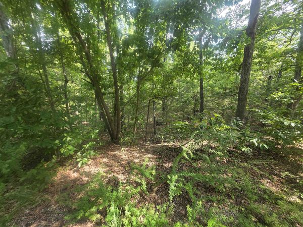L10B4 Anadarko Drive , Cherokee Village, AR 72529