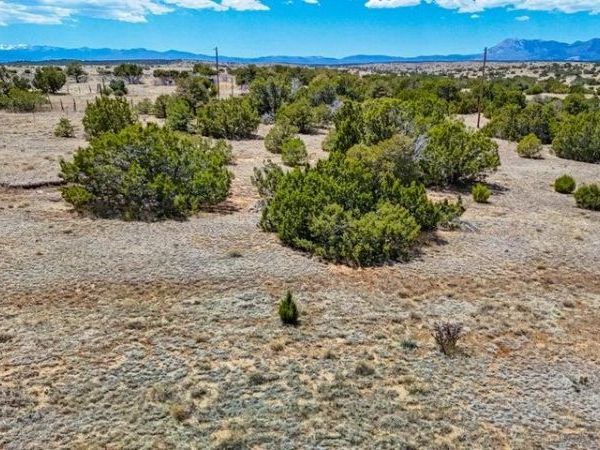 Lot 289 Greenhorn Village, Walsenburg, CO 81089