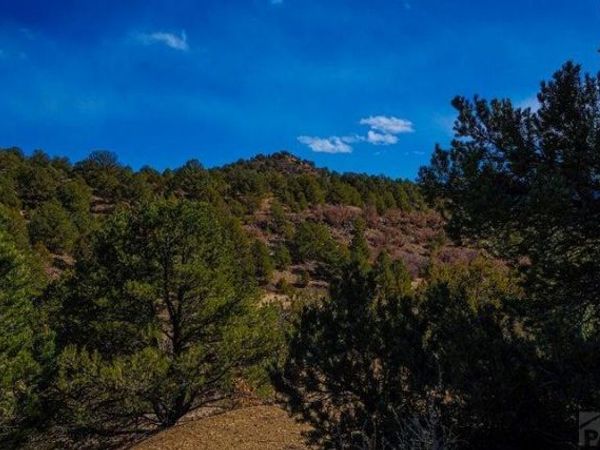 120 Acres No Site Address, Weston, CO 81091