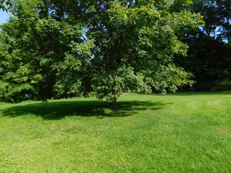 62601 Mcvey Road, Creola, OH 45622 Photo 14