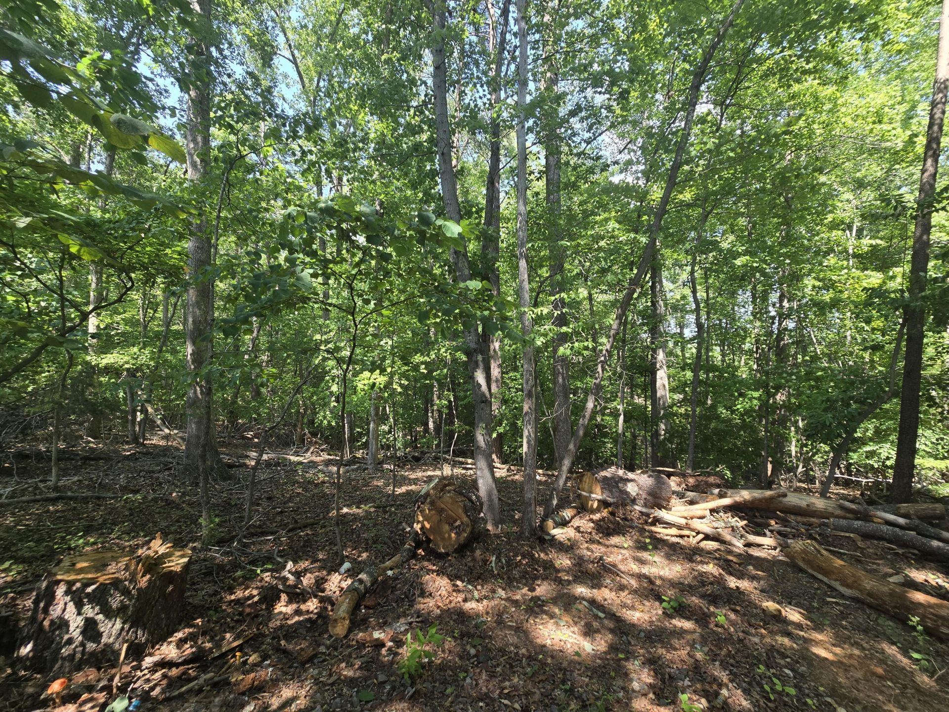 1170 New Hope Ln, Huddleston, VA 24104 Main Photo