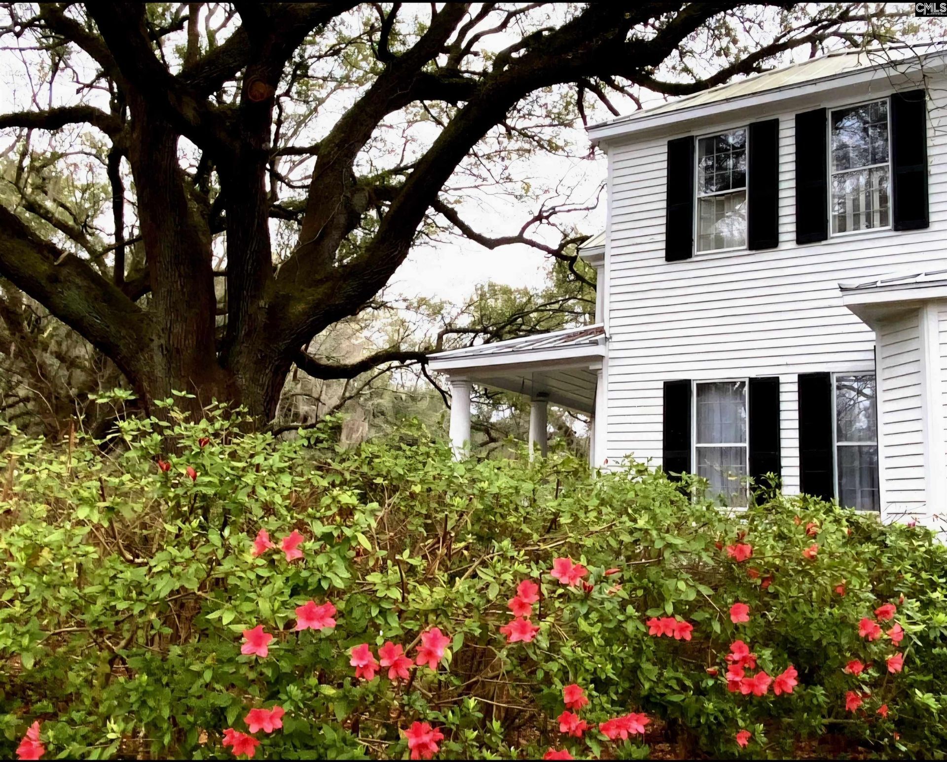 5209 Columbia Road Photo 92