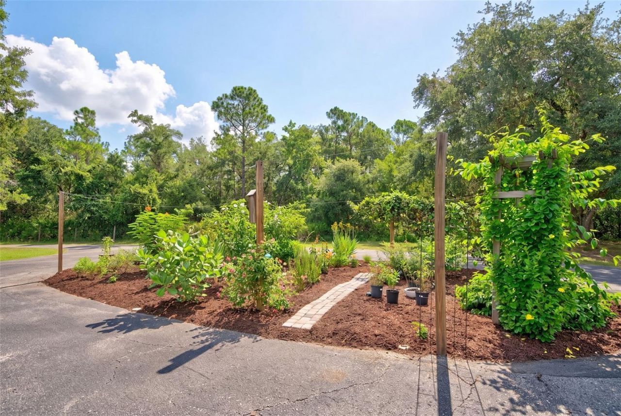 9990 SW County Road 769, Arcadia, FL 34269 Photo