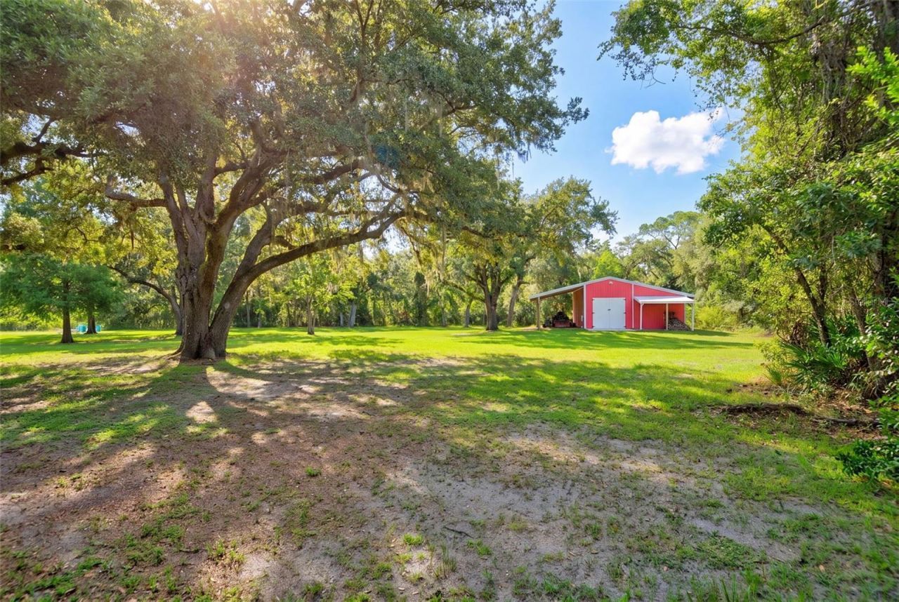 9990 SW County Road 769, Arcadia, FL 34269 Photo