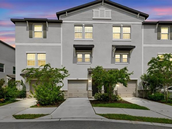 852 TENNYSON MILL CIRCLE , TAMPA, FL 33619