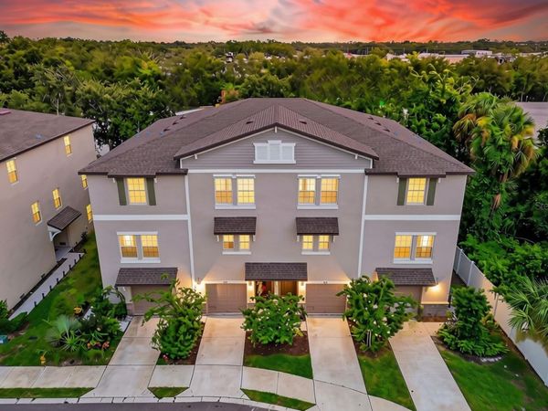 852 TENNYSON MILL CIRCLE , TAMPA, FL 33619