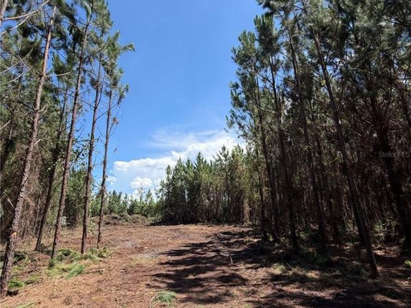 ARNOLD RHODEN RD , SANDERSON, FL 32087