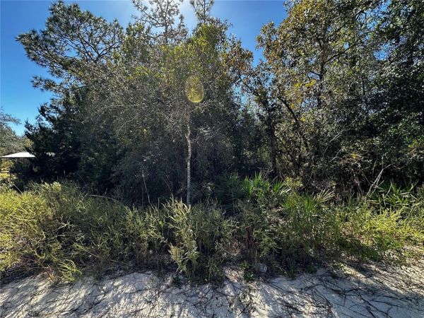 TBD NE 65TH LANE, BRONSON, FL 32621