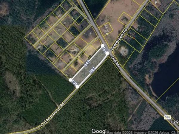 0 Old Montrose Road, Montrose, GA 31065