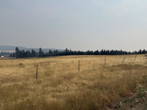 111XX S Spruce Tree Ln, Mica, WA 99023
