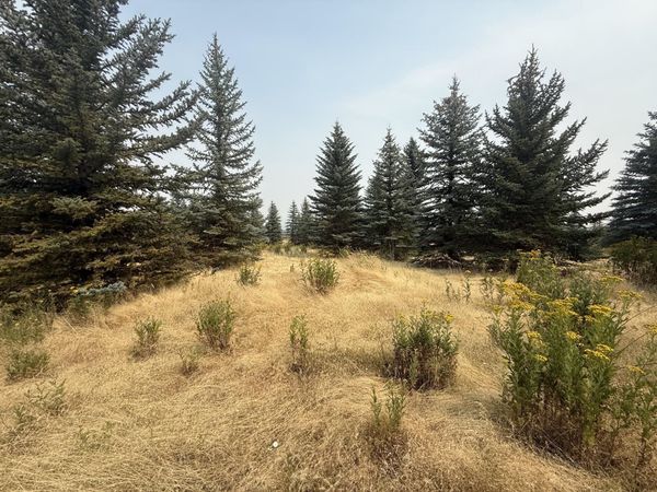 112XX S Spruce Tree Ln, Mica, WA 99023