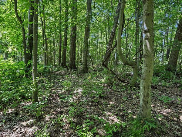 V/L Middle Road, Unit Lots 45 & , Three Rivers, MI 49093