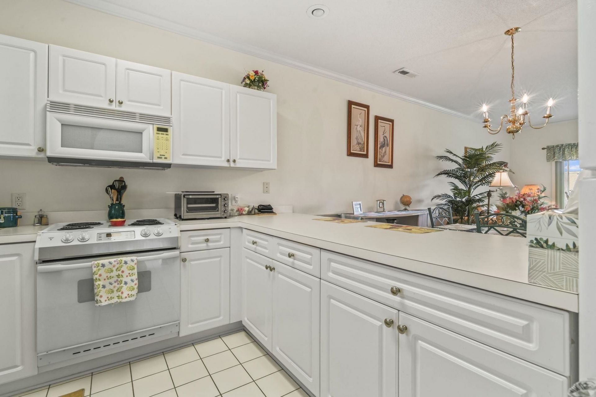 4167 Hibiscus Dr. Photo 6