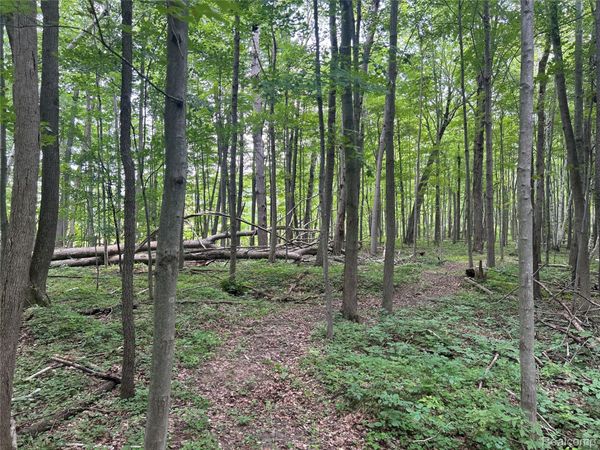 4502 Cemetery Road, Koylton Township, Mi 48741