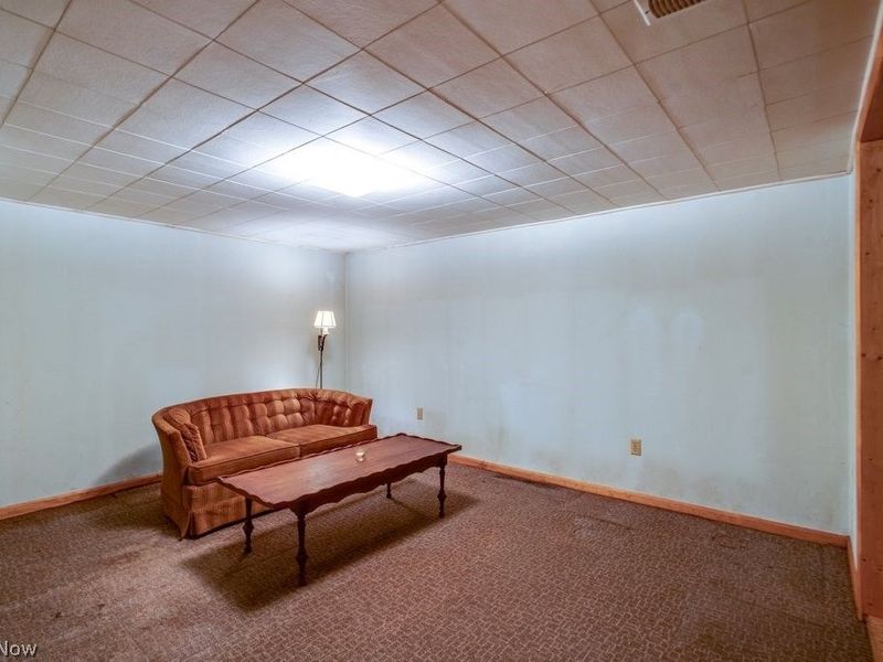 1135 Henn Hyde Road NE, Warren, OH 44484 Photo 25