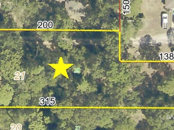 0 Piney Woods Road, Foley, AL 36535