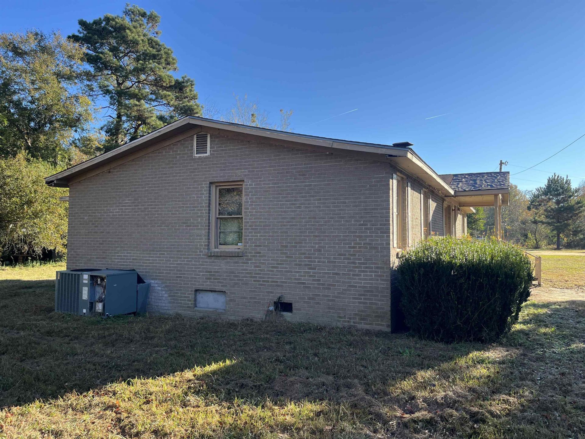 103 Bulldog Ln  Photo 11