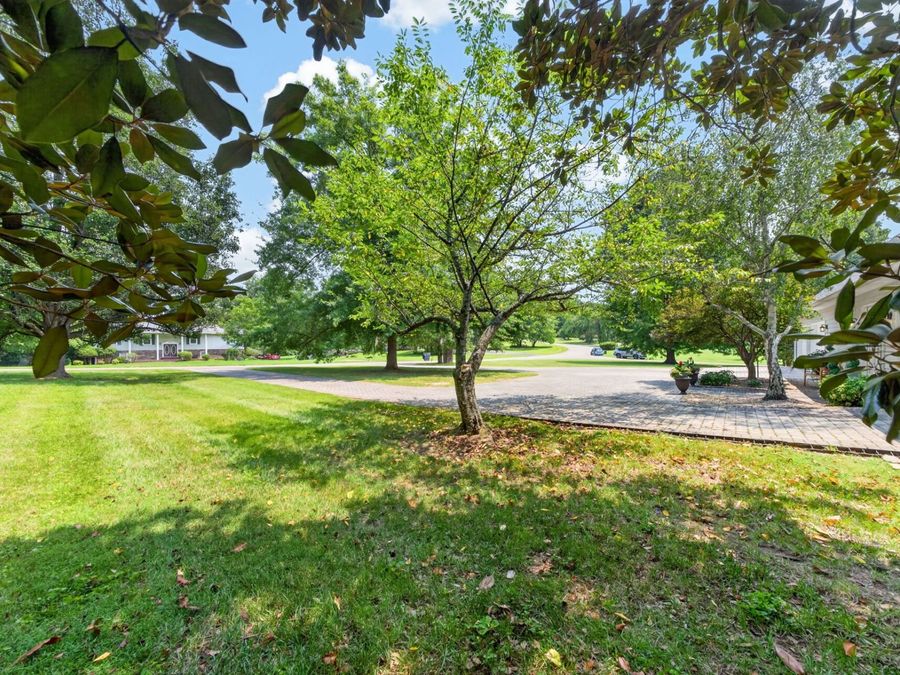 Property Image 58