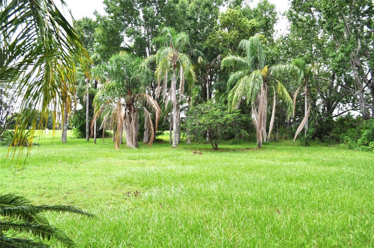 5170 Star Line Drive, Saint Cloud, FL 34771 Photo