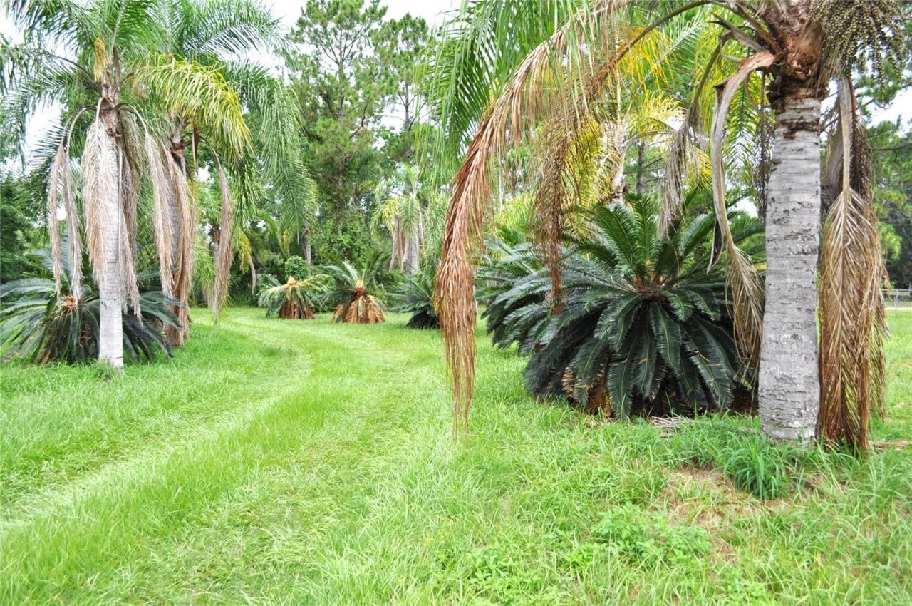 5170 Star Line Drive, Saint Cloud, FL 34771 Photo