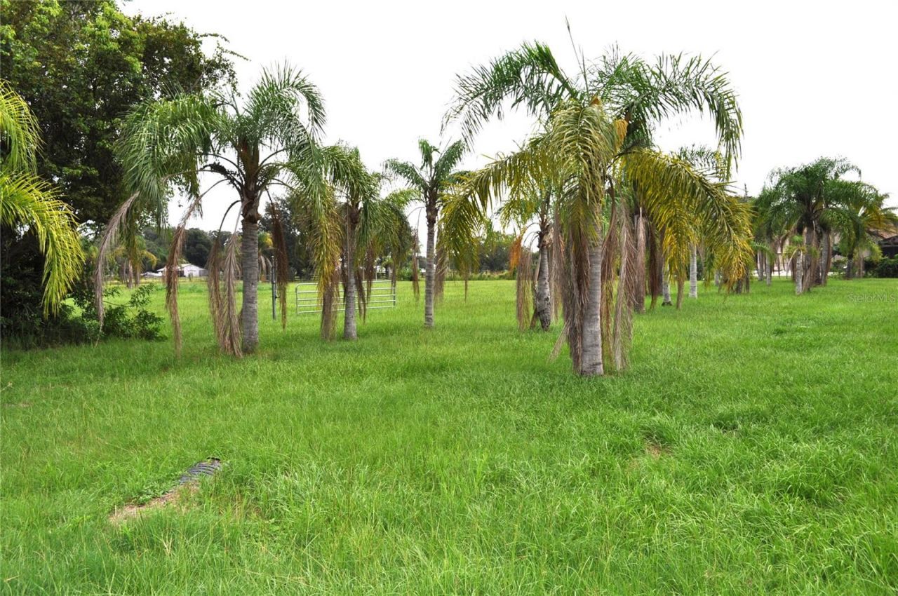 5170 Star Line Drive, Saint Cloud, FL 34771 Photo