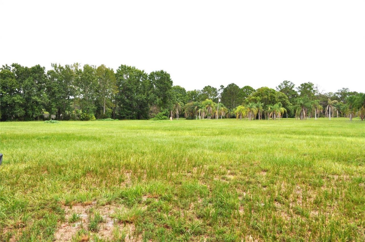 5170 Star Line Drive, Saint Cloud, FL 34771 Photo