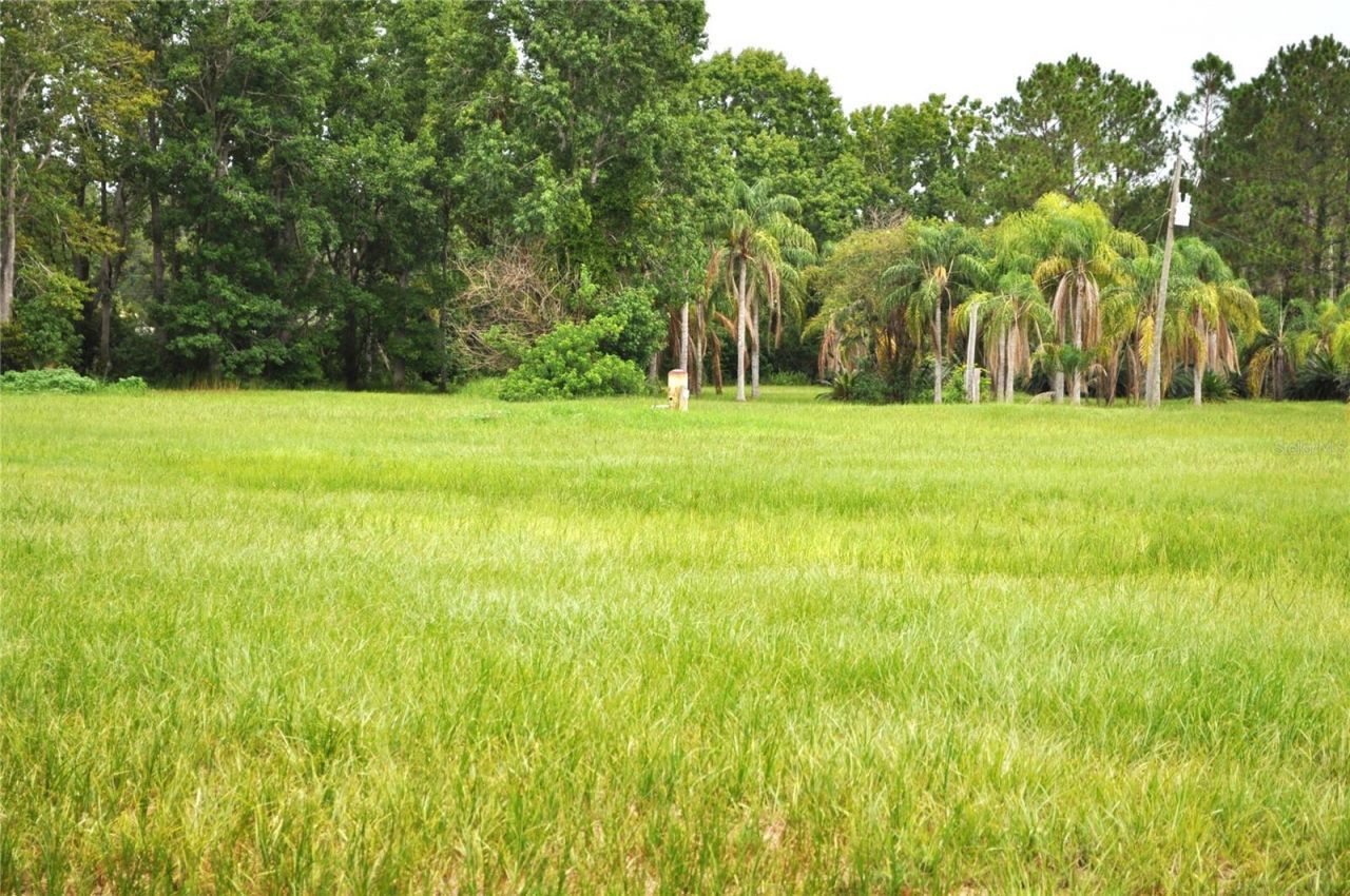 5170 Star Line Drive, Saint Cloud, FL 34771 Photo