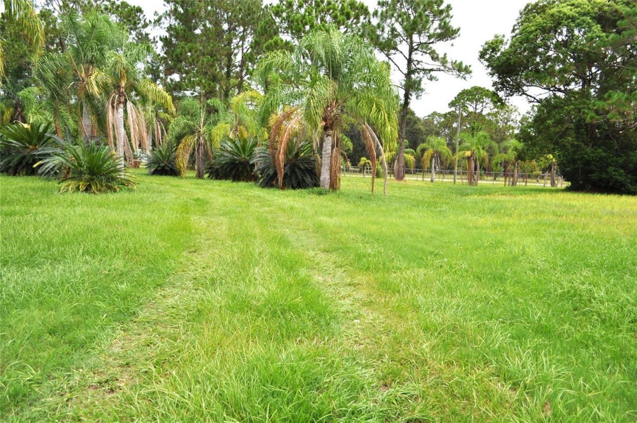 5170 Star Line Drive, Saint Cloud, FL 34771 Photo
