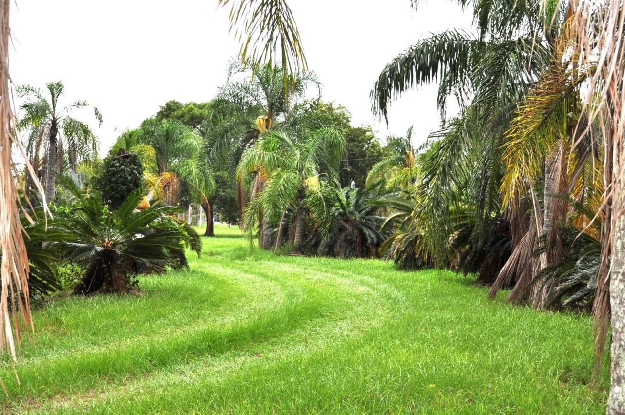 5170 Star Line Drive, Saint Cloud, FL 34771 Photo