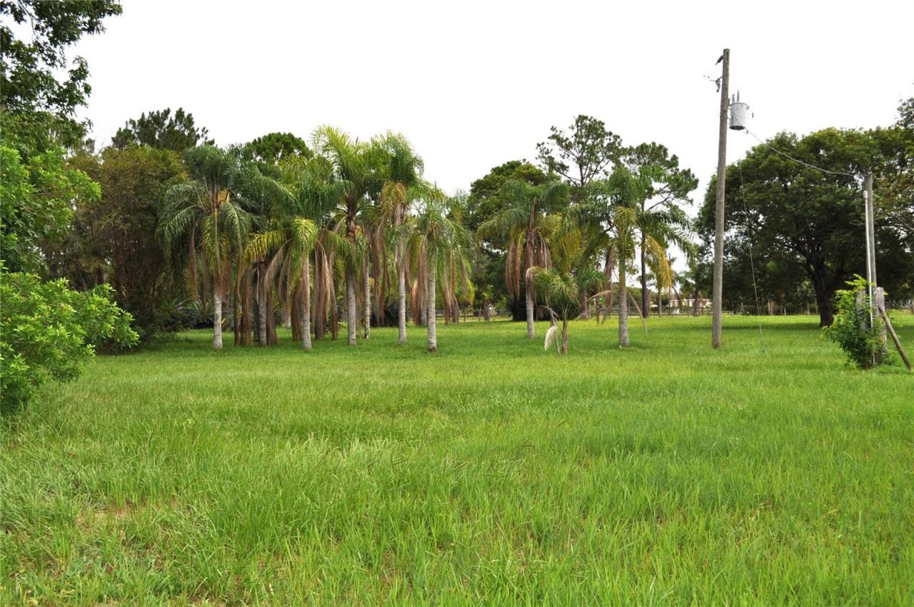 5170 Star Line Drive, Saint Cloud, FL 34771 Photo