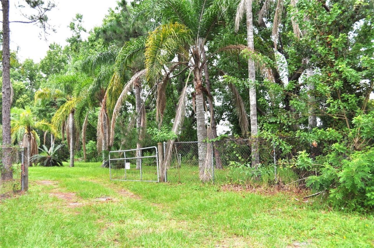 5170 Star Line Drive, Saint Cloud, FL 34771 Photo