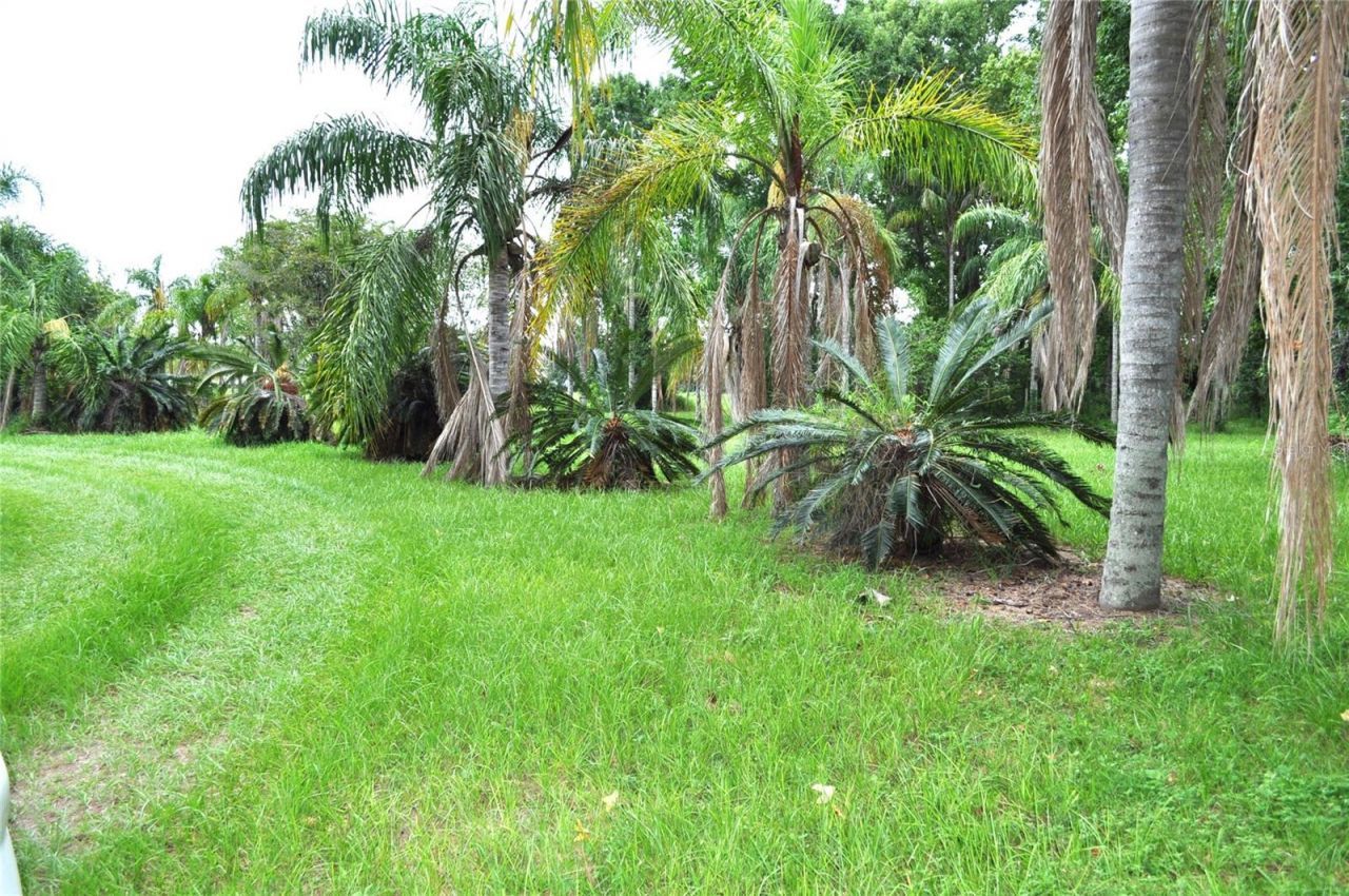 5170 Star Line Drive, Saint Cloud, FL 34771 Photo