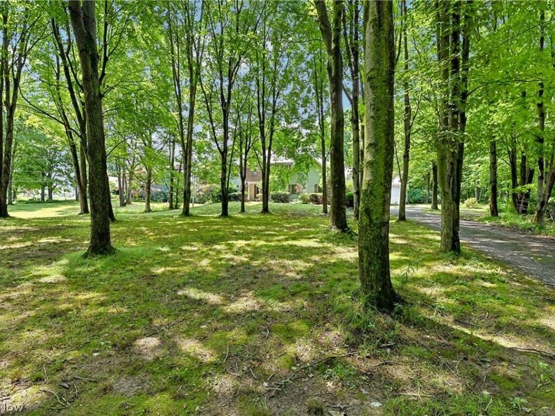 2660 S Medina Line Road, Wadsworth, OH 44281 Photo 4