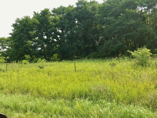 Buckhorn Road, Unit Lot J, Three Rivers, MI 49093