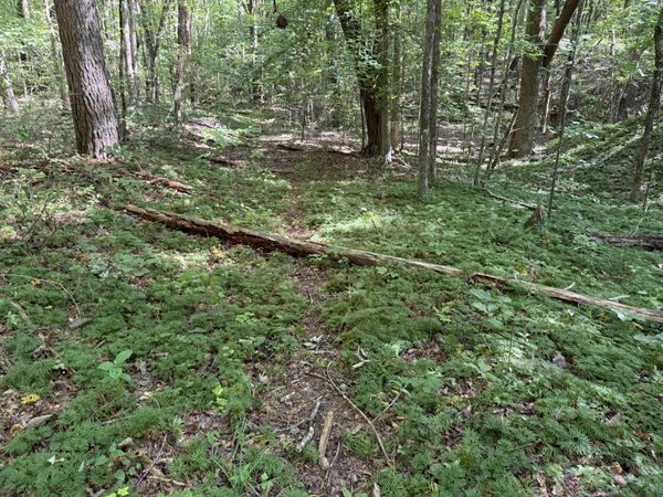 4.16 Acres N Stewart Lane, Rising Fawn, GA 30738
