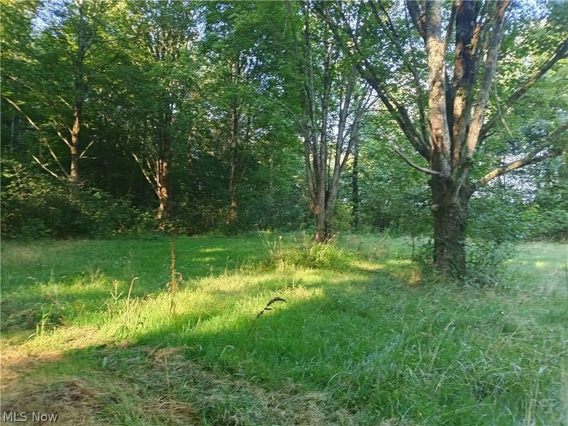 6168 Twitchell Road , Andover, OH 44003 Photo 12