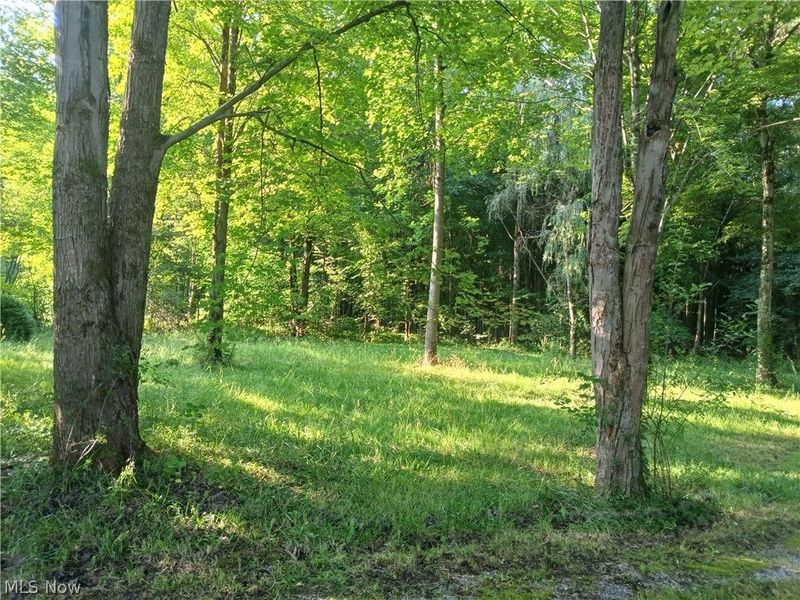6168 Twitchell Road , Andover, OH 44003 Photo 7