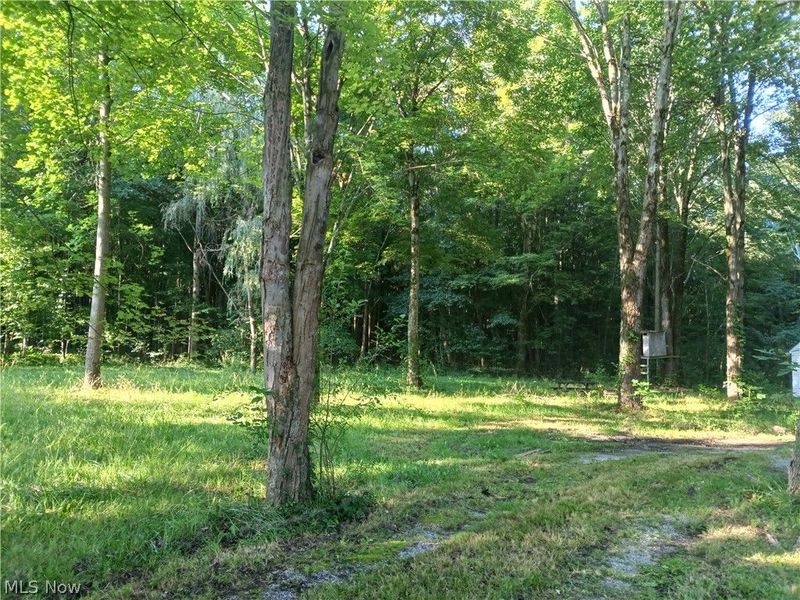 6168 Twitchell Road , Andover, OH 44003 Photo 8